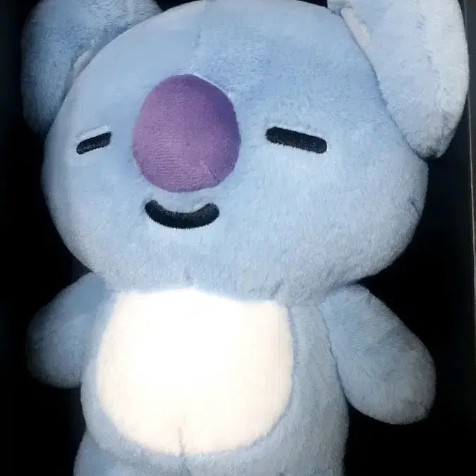 [BUNJANG] BTS RM BT21 KOYA Plush Doll / BTS 방탄소년단 RM BT21 KOYA 인형