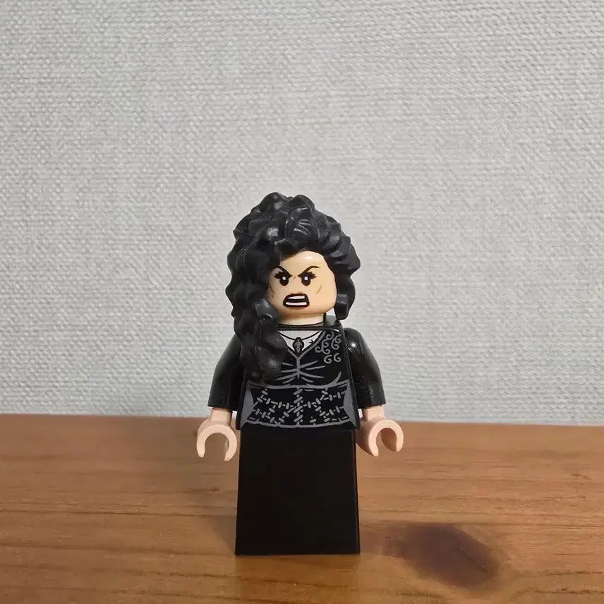 [BUNJANG] LEGO Harry Potter Bellatrix Lestrange 75980 / 레고 75980 벨라트릭스 레스트레인지 해리포터