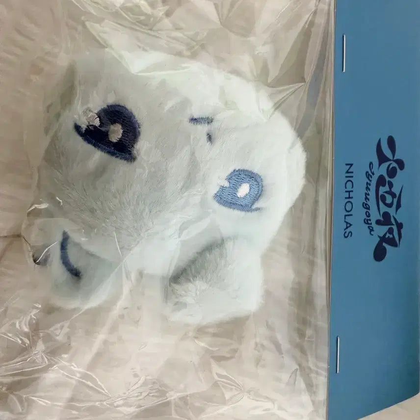[BUNJANG] &amp;TEAM Nicholas Fankit Face Keyring / 앤팀 쥬고야 니콜라스 페이스키링