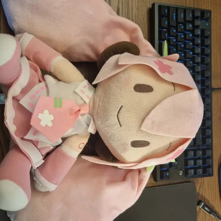 [BUNJANG] Sakura Miku Nui Doll / 사쿠라 미쿠 누이 밐빵ㅇ