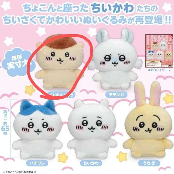 [BUNJANG] Chiikawa Seated Plush Kurimanju / 치이카와 앉은 누이 쿠리만쥬