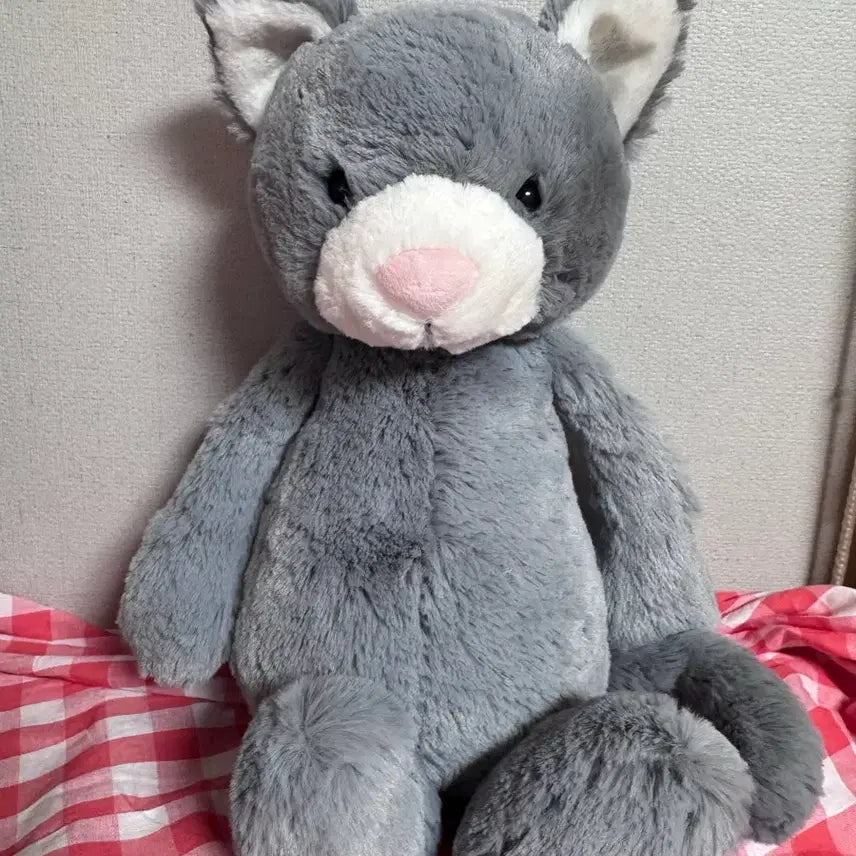 [BUNJANG] Jellycat Bashful Kitten Medium / jellycat 젤리캣 바쉬풀 키튼