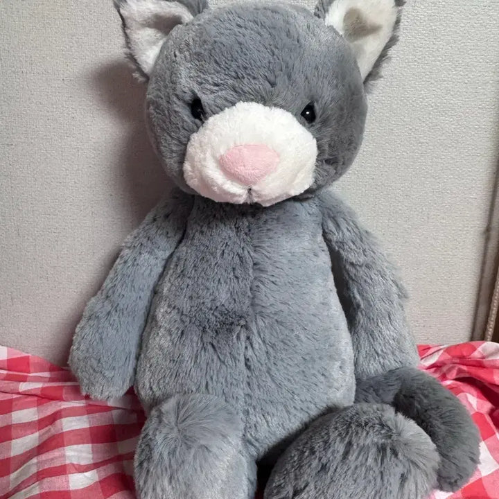 [BUNJANG] Jellycat Bashful Kitten Medium / jellycat 젤리캣 바쉬풀 키튼