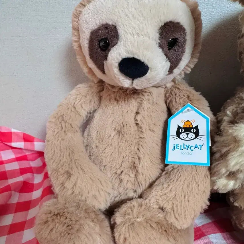 [BUNJANG] Jellycat Bashful Sloth (Medium) / 단종, 신품) jellycat 젤리캣 바쉬풀 슬로스 (나무늘보)