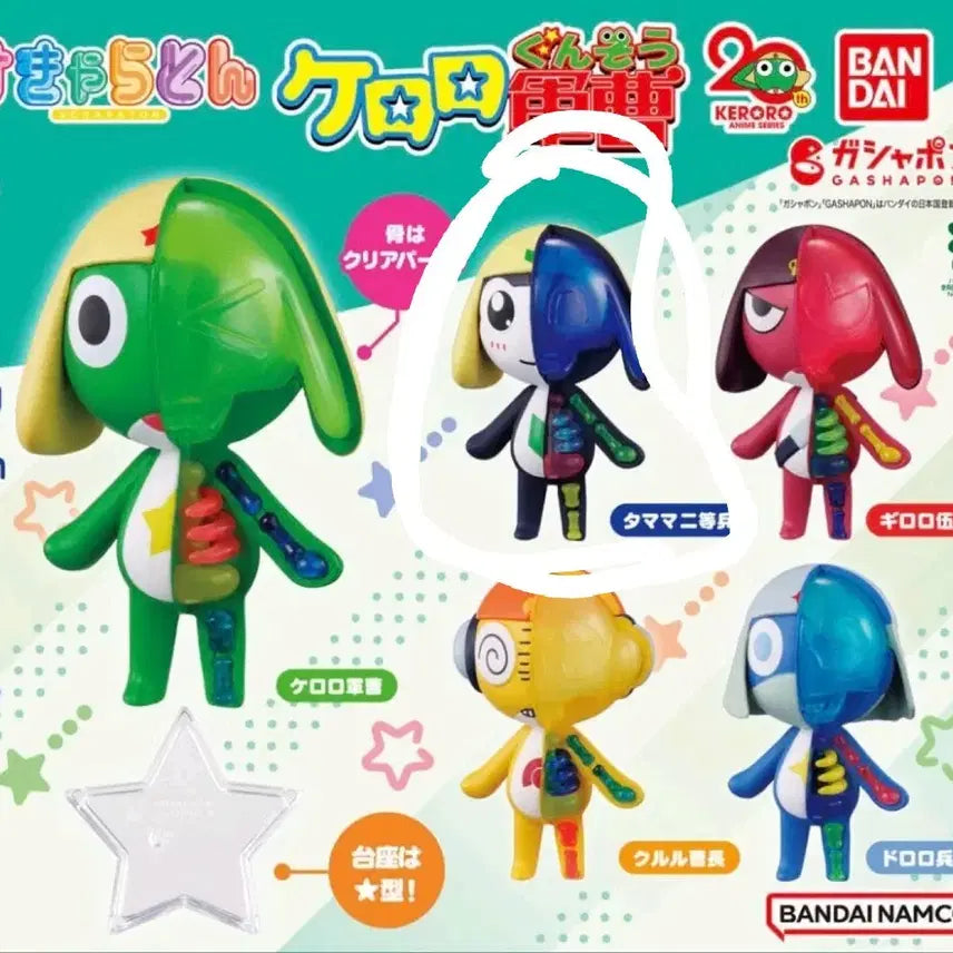 [BUNJANG] Keroro Skeleton Tamama Figure Gacha / 케로로 스켈레톤 (스캬라톤) 피규어 가챠 타마마