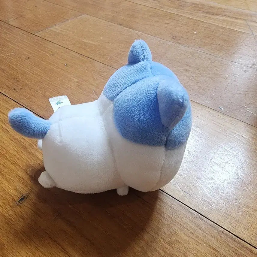 [BUNJANG] Chiikawa Hatsuware Mini Plush / 치이카와 하츠와레 미니 인형