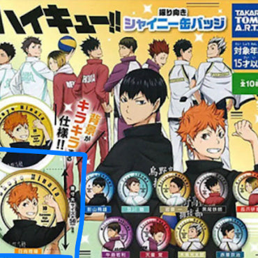 [BUNJANG] Haikyuu!! Shoyo Hinata Can Badge / 하이큐 히나타 소요 캔뱃지