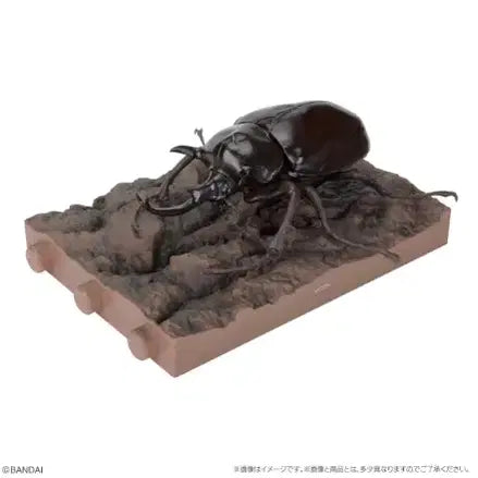[BUNJANG] Creature Encyclopedia Rhinoceros Beetle Vol. 11 Full Set / 생물대도감 장수풍뎅이 11탄 풀 세트 (3개 남음!!!)
