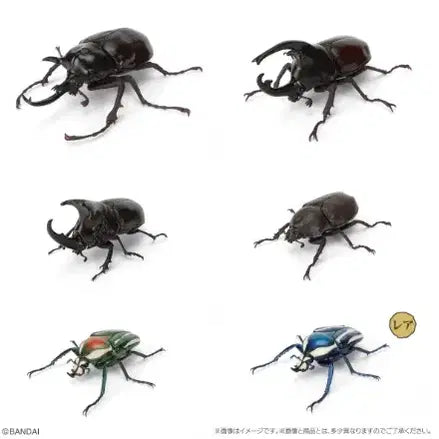 [BUNJANG] Creature Encyclopedia Rhinoceros Beetle Vol. 11 Full Set / 생물대도감 장수풍뎅이 11탄 풀 세트 (3개 남음!!!)