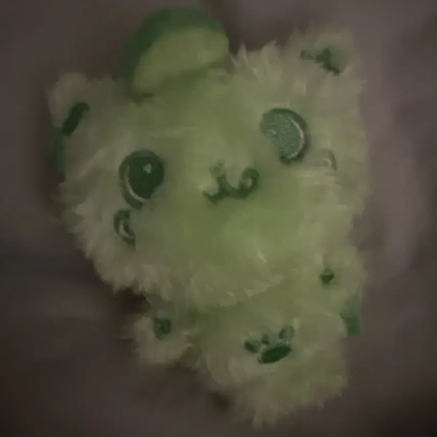 [BUNJANG] Green Kuri Plush / 급처))초록색 쿠리 팔아요!