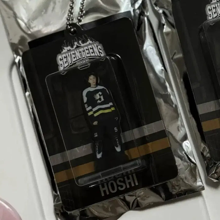 [BUNJANG] Seventeen Hoshi Home Package Keyring + Sanrio Can Badge Bundle Set / ( 2개 일괄 ) 세븐틴 홈 패키지 키링 + 산리오 뱃지 굿즈 호시 양도