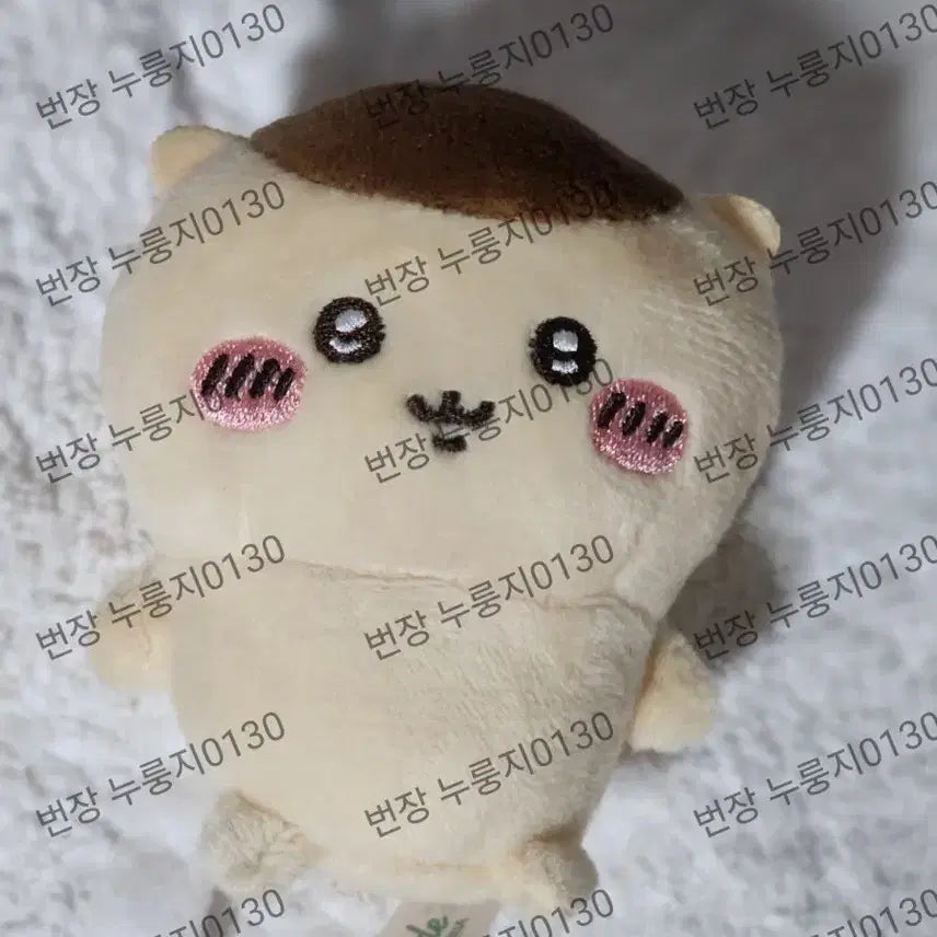 [BUNJANG] Chiikawa Sitting Plush "Kuri" / 치이카와 앉은누이 쿠리 먼작귀 쿠리만쥬