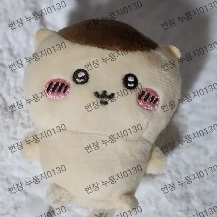 [BUNJANG] Chiikawa Sitting Plush "Kuri" / 치이카와 앉은누이 쿠리 먼작귀 쿠리만쥬