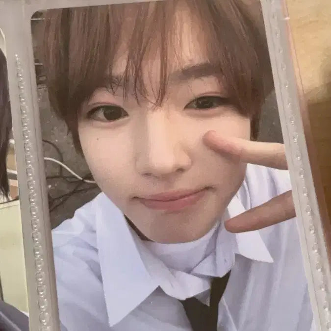 [BUNJANG] Sakuya Photocard / 사쿠야 포카