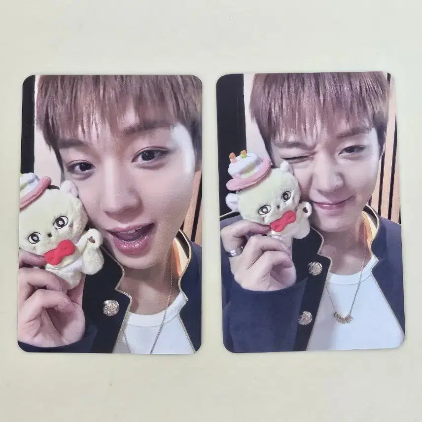 [BUNJANG] Bundle Set Photocard / 일괄) 소심이 팝업 포카 (5만원이상)