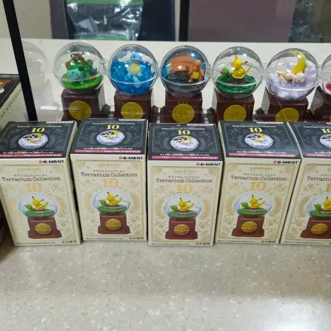 [BUNJANG] Re-Ment Pokemon Terrarium 10th Anniversary Full Set / 포켓몬 테라리움10 10주년 리멘트 풀셋