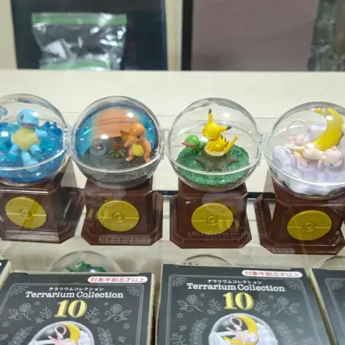 [BUNJANG] Re-Ment Pokemon Terrarium 10th Anniversary Full Set / 포켓몬 테라리움10 10주년 리멘트 풀셋