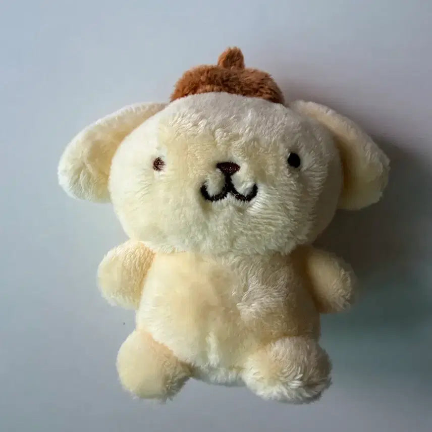 [BUNJANG] Pompompurin Plush Doll / 올리브영 폼폼푸린