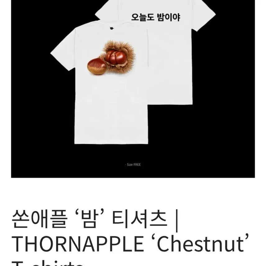 [BUNJANG] Sondia Night T-shirt / 쏜애플 밤 티셔츠 md