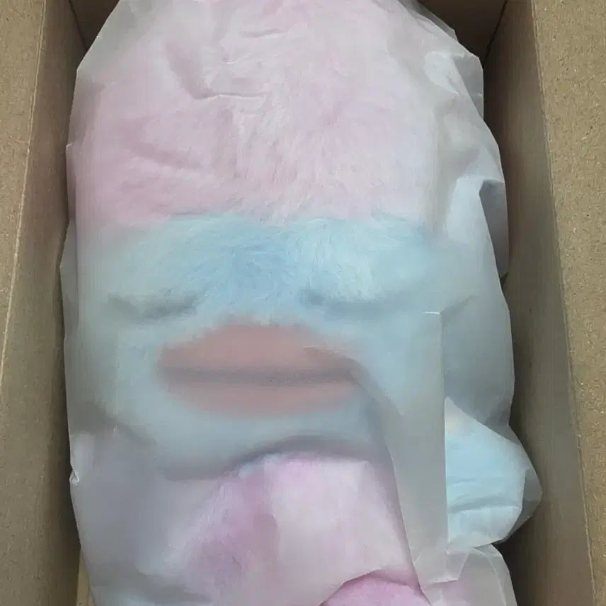 [BUNJANG] RIIZE Voice Doll Ddolbyeongi (Version B) / 라이즈 보이스 인형 똘병이 (B버전)