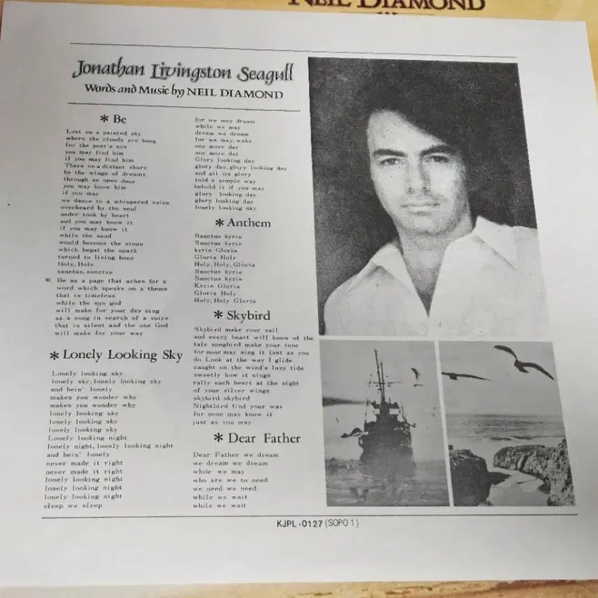 [BUNJANG] Neil Diamond Jonathan Livingston Seagull (OST) LP / Neil Diamond (닐 다이아몬드) - Jonathan Livingston Seagull (갈매기의 꿈 OST) (LP)
