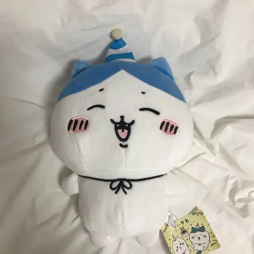 [BUNJANG] Hachiwara Birthday Plush / 하치와레 인형 판매