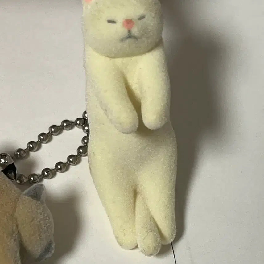 [BUNJANG] Cat Gacha Plush Keychain Set / 네코가챠