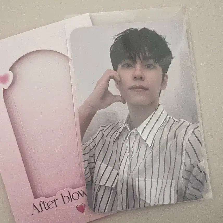 [BUNJANG] DAY6 Wonpil After Blow Photocard / 데이식스 원필 after blow 포카