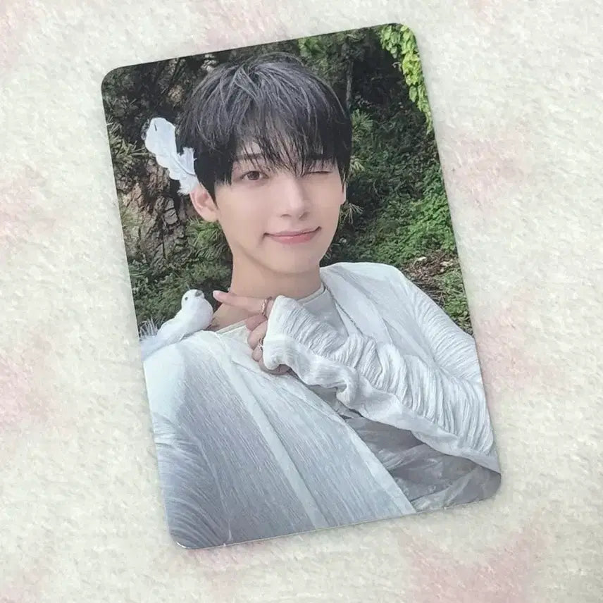 [BUNJANG] CRAVITY Koo Jeongmo Feather Photocard / 크래비티 구정모 깃털 정모 포카 포토카드 공방포카 소노머스