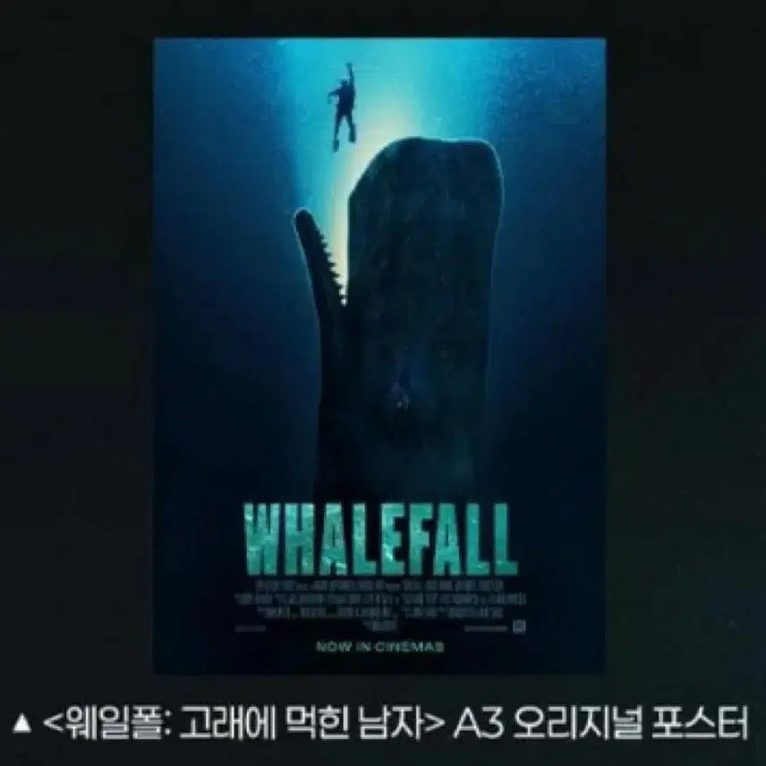 [BUNJANG] Whale Folk TTT/Original Poster / [웨일폴] TTT/오리지널 포스터