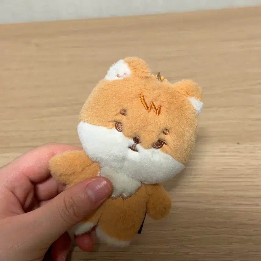 [BUNJANG] DAY6 Petit Merz K Photocard / 데이식스 쁘띠멀즈 케 양도