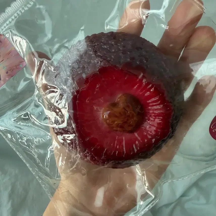 [BUNJANG] The Fox Fruit Series Squishy Toy / thefox 더폭스 과일 하트 양메이 리치 말랑이 스퀴시 슬랑이