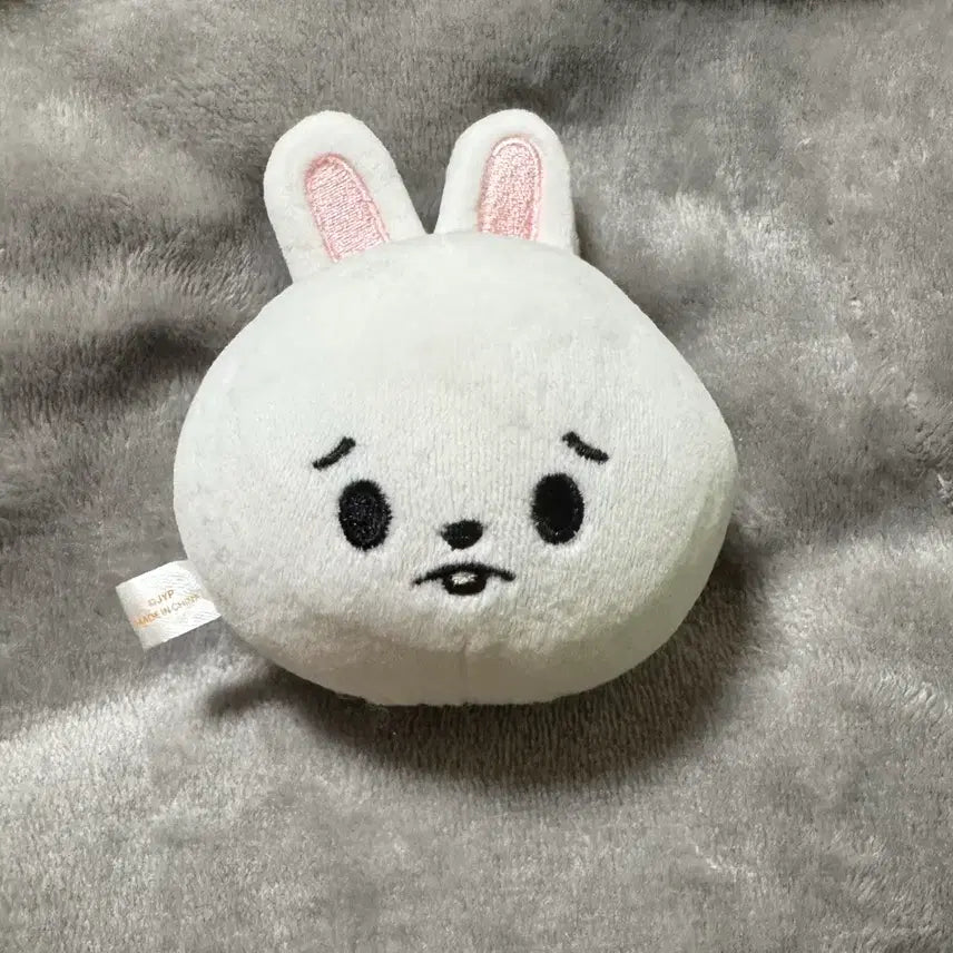[BUNJANG] Stray Kids Lee Know Ribbit Stress Ball / 스트레이키즈 리빗 리노 스트레스볼 원가이하양도