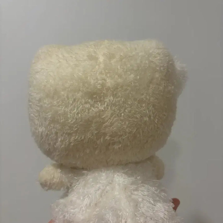 [BUNJANG] 2021 Hello Kitty Mimi Doll / 2021년 헬로키티 미미 인형