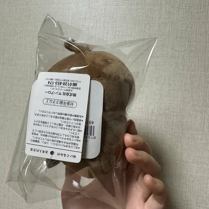 [BUNJANG] Chiikawa "Munjakwi" Beetle Plush Doll / 치이카와 먼작귀 풍뎅이 누이 인형