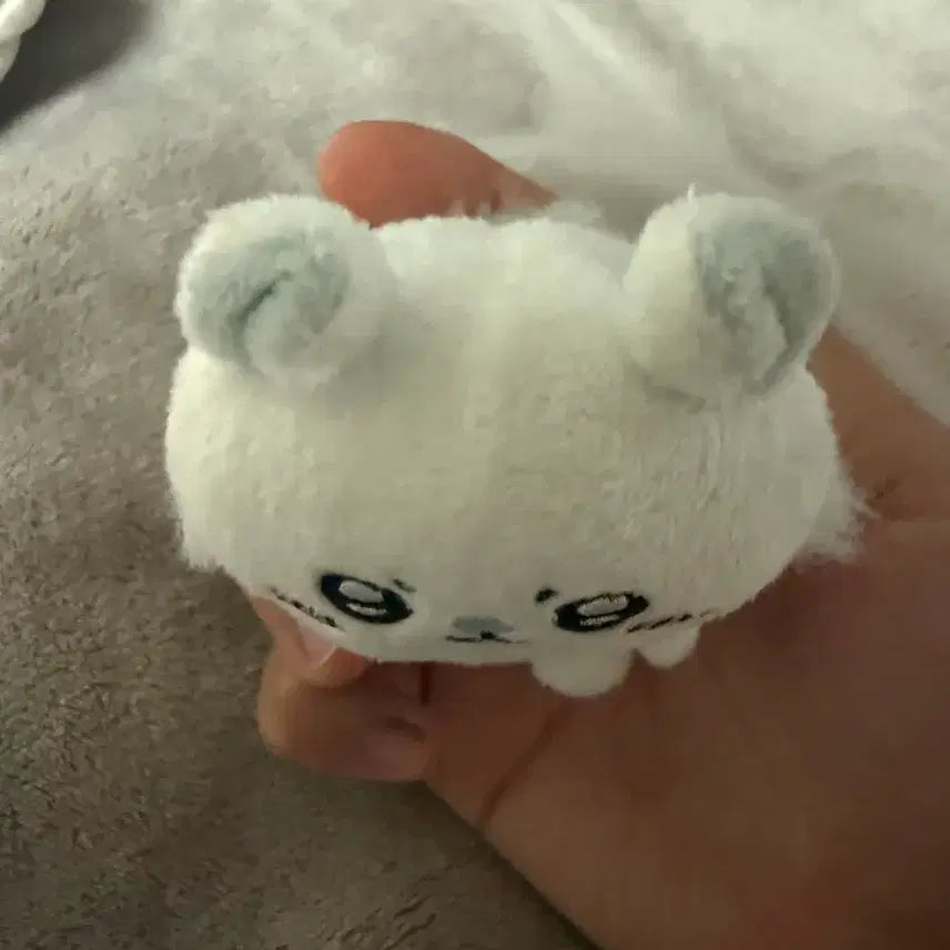 [BUNJANG] Momonga Sitting Plush Old Version / 모몽가 앉은누이 구버전