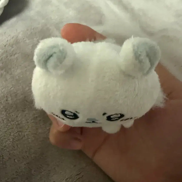 [BUNJANG] Momonga Sitting Plush Old Version / 모몽가 앉은누이 구버전
