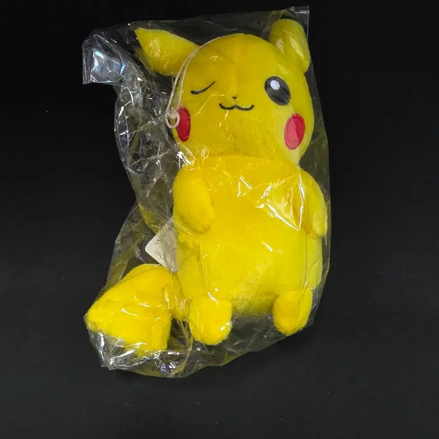 [BUNJANG] Pokemon Pikachu Plush / 포켓몬스터 피카츄 인형