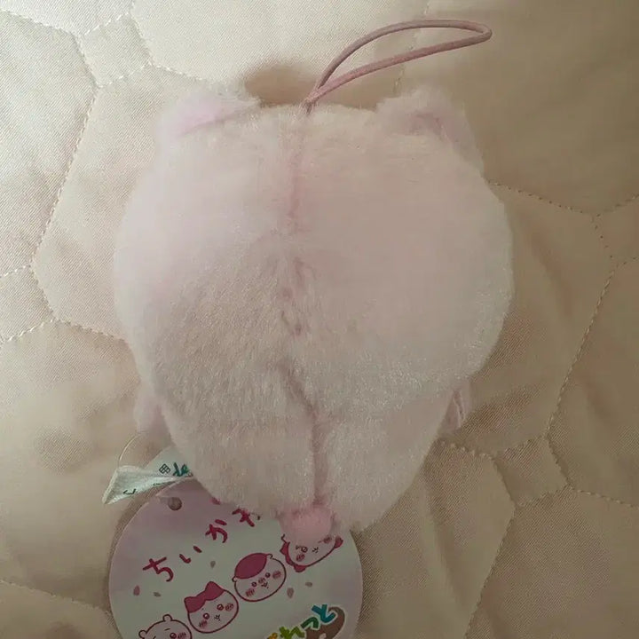 [BUNJANG] ChiiKawa Cherry Blossom Plush / 벚꽃 치이카와