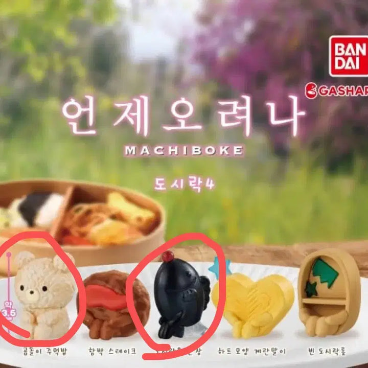 [BUNJANG] Bear Shaped Rice Ball &amp; Sauce Dispenser Lunch Box Set / [일괄] 마치보케 언제오려나 도시락4 곰돌이 주먹밥 도시락용 간장