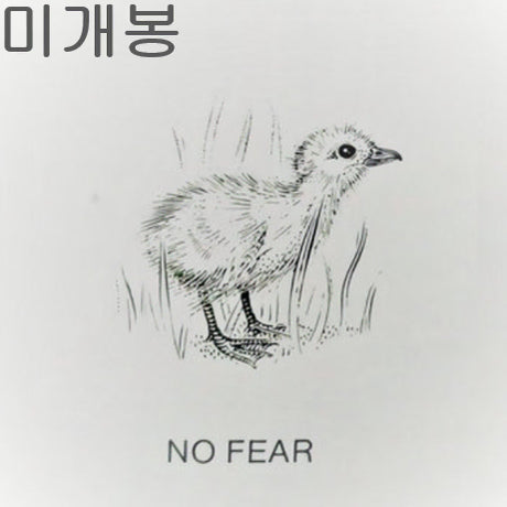 [BUNJANG] Fin Fior No Fear (Sealed) CD / 핀피오르 (Fin Fior) - No Fear (미개봉, CD)
