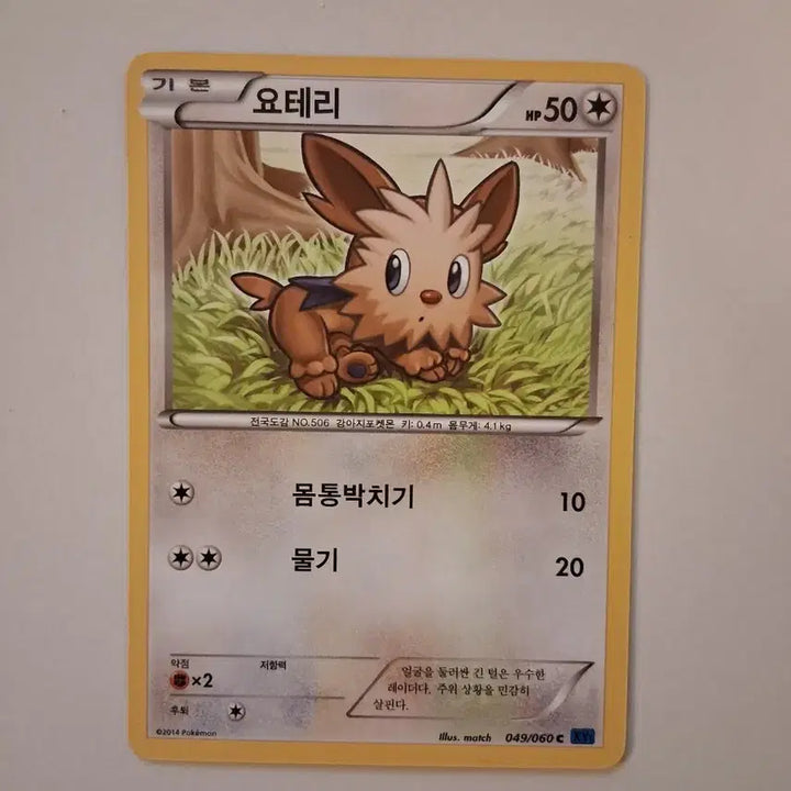 [BUNJANG] Pokemon Card 2014 Yōtari 049/060 C / 포켓몬 카드 2014년 요테리 049/060 C