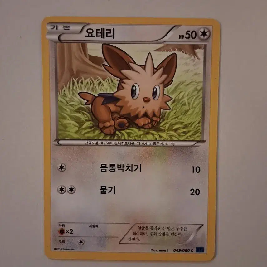 [BUNJANG] Pokemon Card 2014 Yōtari 049/060 C / 포켓몬 카드 2014년 요테리 049/060 C