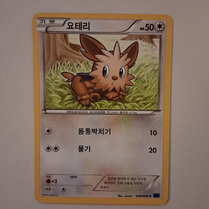 [BUNJANG] Pokemon Card 2014 Yōtari 049/060 C / 포켓몬 카드 2014년 요테리 049/060 C