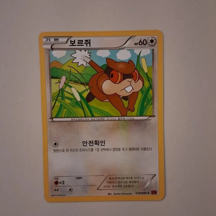 [BUNJANG] Pokemon Card Voltorb XY 079/096 (2014) / 포켓몬카드  2014년 보르쥐 XY 079/096