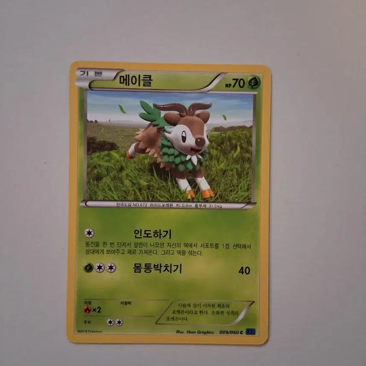 [BUNJANG] Pokemon Card 2014 Makele Card / 포켓몬 카드  2014년 메이클 카드
