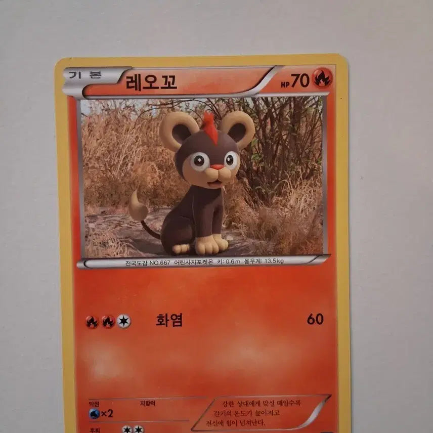 [BUNJANG] Pokemon Card Leocho Basic 70/60 (2014) / 포켓몬카드  2014년 레오꼬 기본 70/60