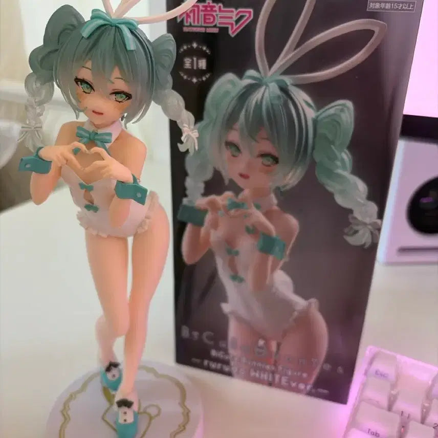 [BUNJANG] Bunny Girl Miku Figure / 바니걸 미쿠 피규어