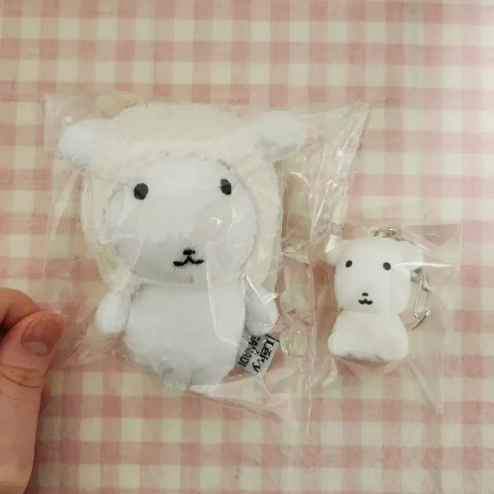 [BUNJANG] RAVI Ganadi + Ganadi Figure Bundle Set (Sealed) / (미개봉) 레이비 가나디 (+가나디 피규어)