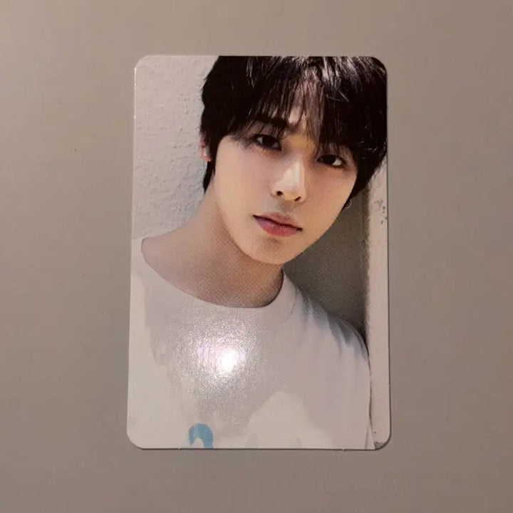[BUNJANG] NCT WISH Riku Steady Postcard Set Photocard / 엔시티위시 리쿠 스테디 엽서 set 포카 양도 트레카 시그 미공포 분철 탈덕처분